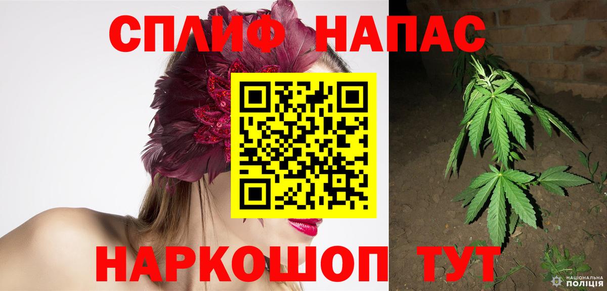 Конопля конопля Шали